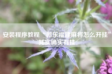 安装程序教程“微乐福建麻将怎么开挂”其实确实有挂