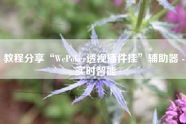 教程分享“WePoker透视插件挂	”辅助器 - 实时智能