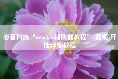 必备科技“wepoker辅助器教程”(透视)开挂详细教程