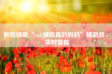 教程辅助“wpk辅助真的假的”辅助器 - 实时智能