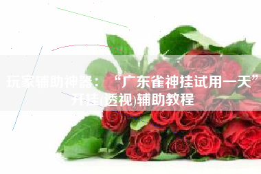 玩家辅助神器：“广东雀神挂试用一天”开挂(透视)辅助教程