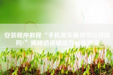 安装程序教程“手机微乐麻将可以开挂吗?”揭秘透视辅助万能挂用法