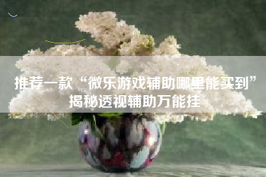 推荐一款“微乐游戏辅助哪里能买到”揭秘透视辅助万能挂