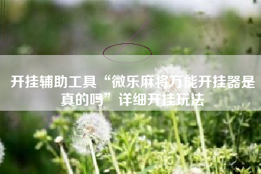 开挂辅助工具“微乐麻将万能开挂器是真的吗	”详细开挂玩法