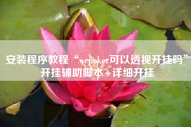 安装程序教程“wepoker可以透视开挂吗”开挂辅助脚本+详细开挂