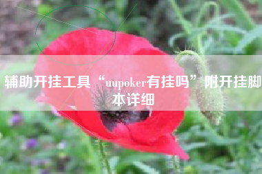 辅助开挂工具“uupoker有挂吗	”附开挂脚本详细
