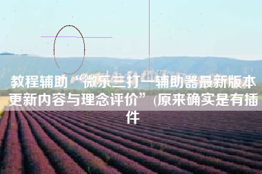 教程辅助“微乐三打一辅助器最新版本更新内容与理念评价”(原来确实是有插件