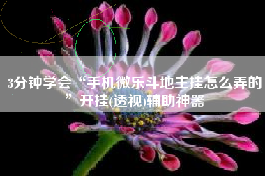 3分钟学会“手机微乐斗地主挂怎么弄的	”开挂(透视)辅助神器