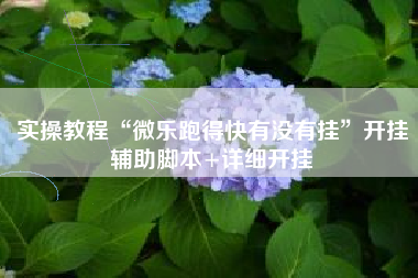 实操教程“微乐跑得快有没有挂	”开挂辅助脚本+详细开挂