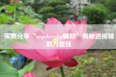 实测分享“wepokerplus辅助”揭秘透视辅助万能挂