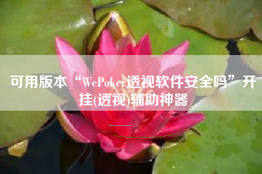 可用版本“WePoker透视软件安全吗”开挂(透视)辅助神器