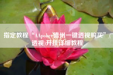 指定教程“AApoker德州一键透视购买”(透视)开挂详细教程