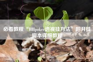 必看教程“HHpoker透视挂方法”附开挂脚本详细教程