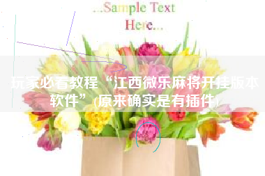 玩家必看教程“江西微乐麻将开挂版本软件	”(原来确实是有插件)