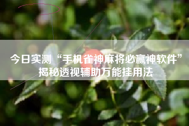 今日实测“手机雀神麻将必赢神软件”揭秘透视辅助万能挂用法