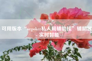 可用版本“wepoker私人局辅助挂	”辅助器 - 实时智能