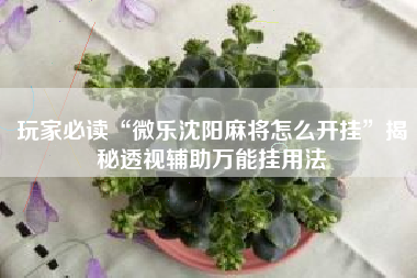 玩家必读“微乐沈阳麻将怎么开挂”揭秘透视辅助万能挂用法
