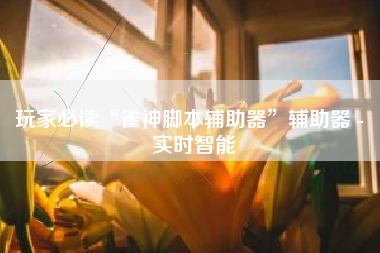 玩家必读“雀神脚本辅助器”辅助器 - 实时智能