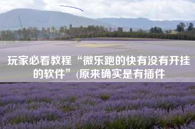 玩家必看教程“微乐跑的快有没有开挂的软件	”(原来确实是有插件