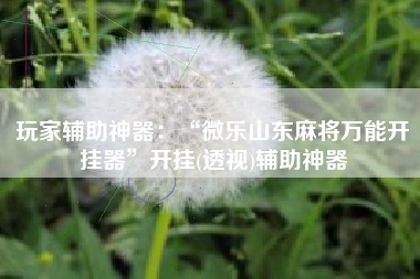 玩家辅助神器：“微乐山东麻将万能开挂器”开挂(透视)辅助神器
