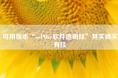 可用版本“wePOke软件透明挂”其实确实有挂