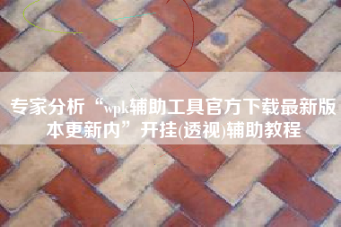 专家分析“wpk辅助工具官方下载最新版本更新内”开挂(透视)辅助教程