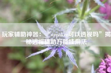 玩家辅助神器：“wepoker可以透视吗	”揭秘透视辅助万能挂用法