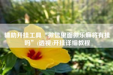 辅助开挂工具“微信里面微乐麻将有挂吗”(透视)开挂详细教程