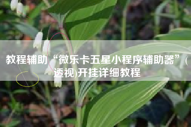 教程辅助“微乐卡五星小程序辅助器	”(透视)开挂详细教程