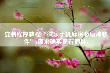 安装程序教程“微乐手机麻将必赢神软件	”(原来确实是有插件)