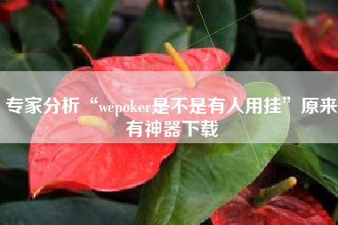 专家分析“wepoker是不是有人用挂	”原来有神器下载