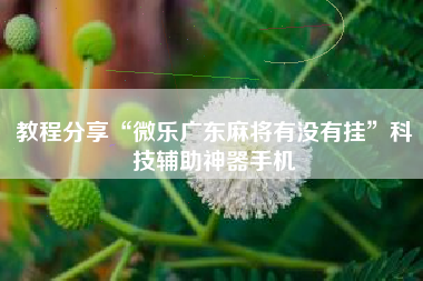 教程分享“微乐广东麻将有没有挂”科技辅助神器手机