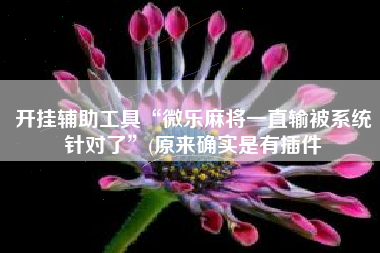 开挂辅助工具“微乐麻将一直输被系统针对了”(原来确实是有插件