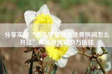 分享实测“微乐宁夏划水免费房间怎么开挂”揭秘透视辅助万能挂