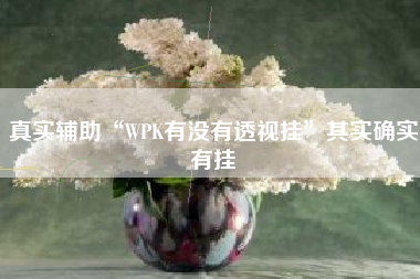 真实辅助“WPK有没有透视挂	”其实确实有挂