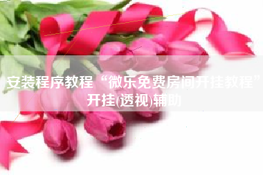 安装程序教程“微乐免费房间开挂教程”开挂(透视)辅助