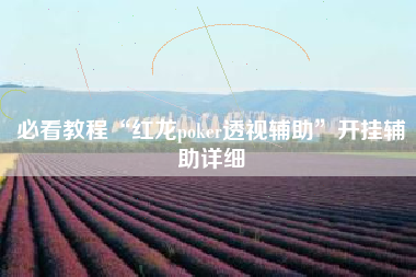 必看教程“红龙poker透视辅助”开挂辅助详细