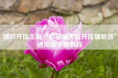 辅助开挂工具“微乐填大坑开挂辅助器	”通用版下载教程