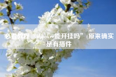 必看教程“hhpoker能开挂吗	”(原来确实是有插件