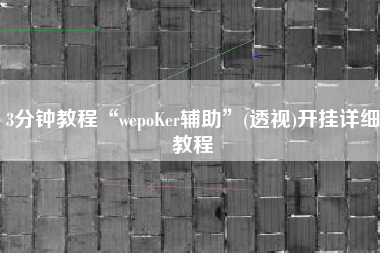 3分钟教程“wepoKer辅助”(透视)开挂详细教程