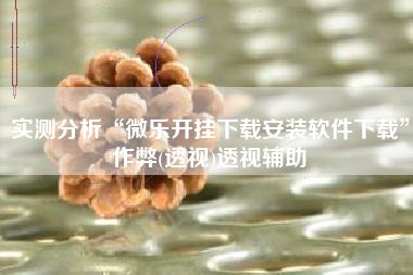 实测分析“微乐开挂下载安装软件下载”作弊(透视)透视辅助