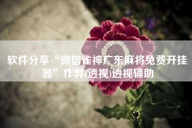 软件分享“微信雀神广东麻将免费开挂器”作弊(透视)透视辅助