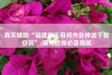 真实辅助“福建微乐麻将外卦神器下载安装	”(曝光透视必备猫腻