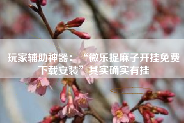 玩家辅助神器：“微乐捉麻子开挂免费下载安装	”其实确实有挂