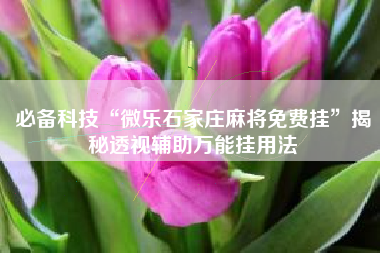 必备科技“微乐石家庄麻将免费挂	”揭秘透视辅助万能挂用法