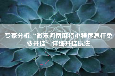专家分析“微乐河南麻将小程序怎样免费开挂	”详细开挂玩法