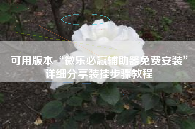 可用版本“微乐必赢辅助器免费安装”详细分享装挂步骤教程
