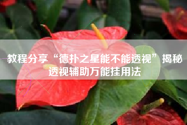 教程分享“德扑之星能不能透视”揭秘透视辅助万能挂用法