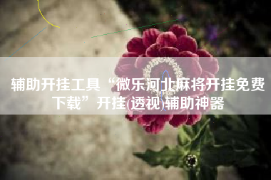 辅助开挂工具“微乐河北麻将开挂免费下载”开挂(透视)辅助神器