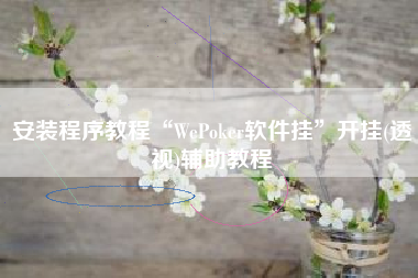 安装程序教程“WePoker软件挂	”开挂(透视)辅助教程